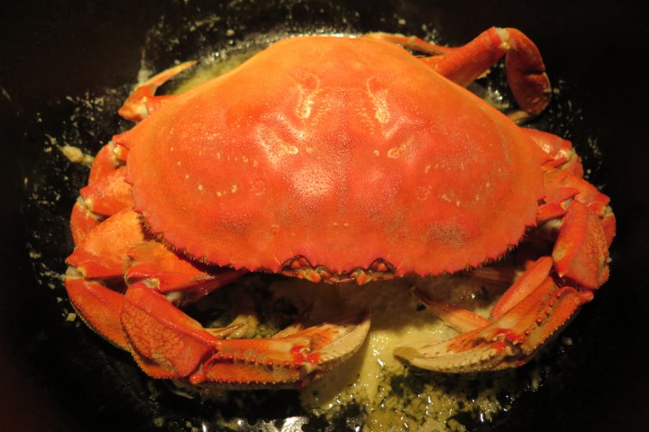 a crab on a table