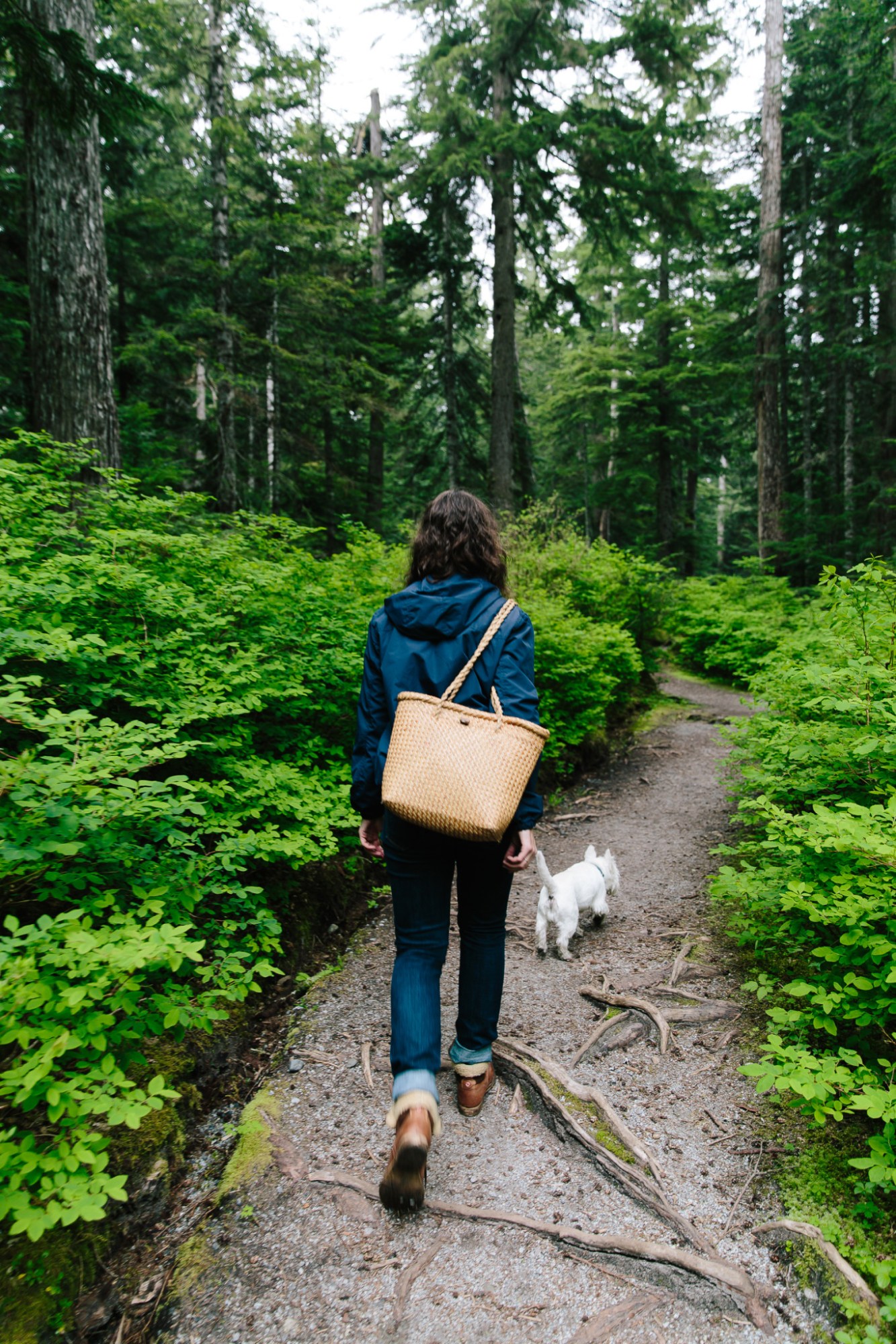 Forest to Table YVR IG-43 a person walking on a path in the forest