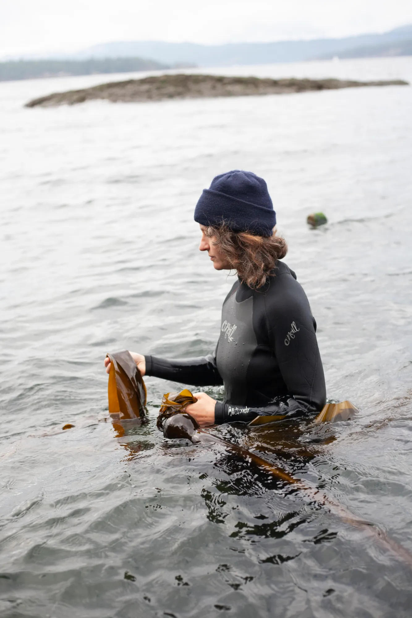 ocean-wetsuit-shots-bullwhip-stipe a person riding a surf board on a body of water