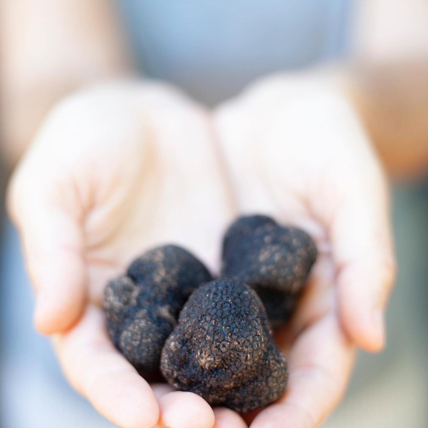 a hand holding a fruit