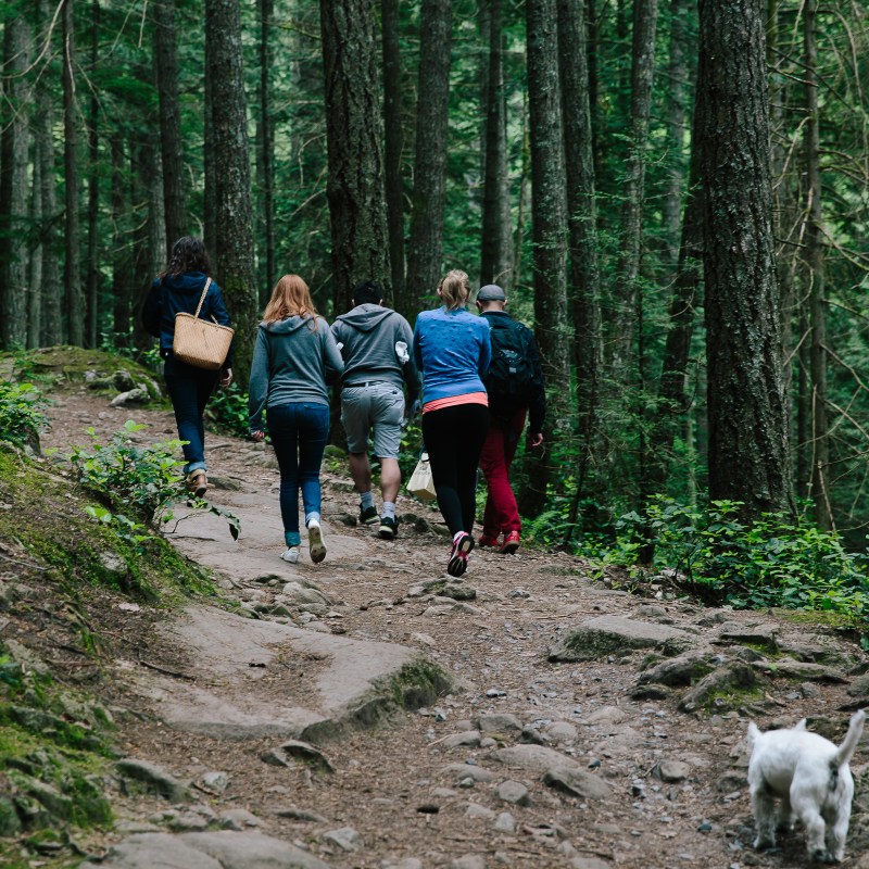 a group of people walking down a dirt path in a forest