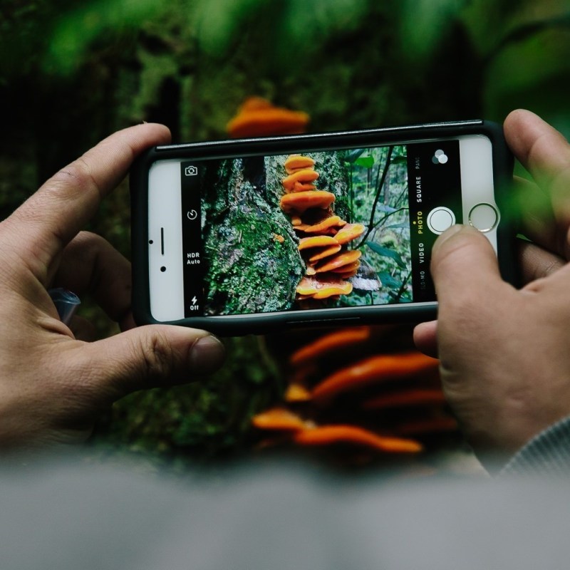 a hand holding a cellphone