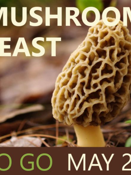 a close up of a sign