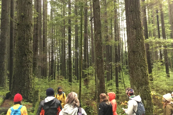 a group of people in a forest
