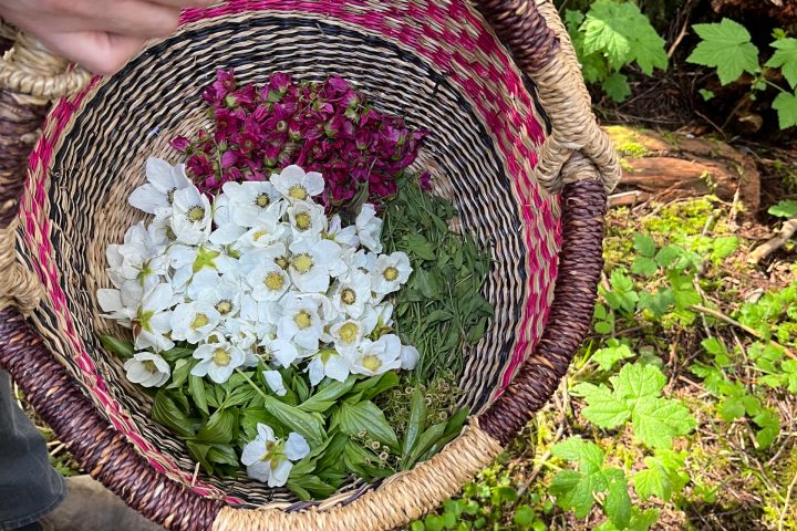 foraging basket with flowers
