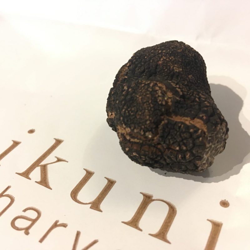 black truffle