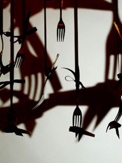 a bird flying in the sky