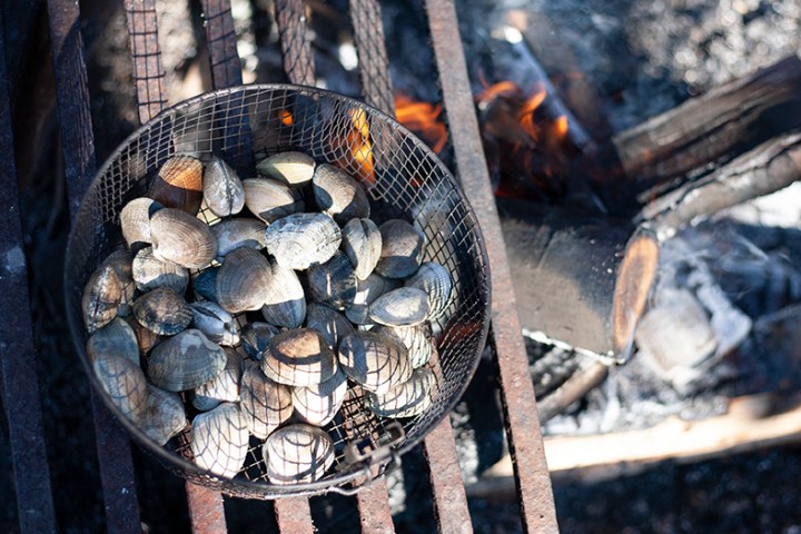 Basket of clams on a grill over a wood fire.