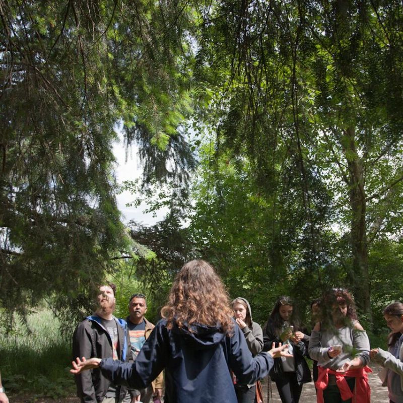 a group of people standing next to a tree