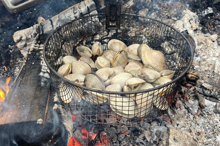 a dog lying on a grill