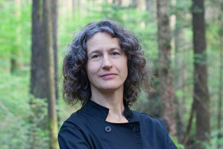 a person standing in front of a forest