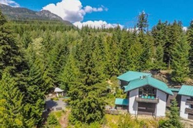a tree with a mountain in the background