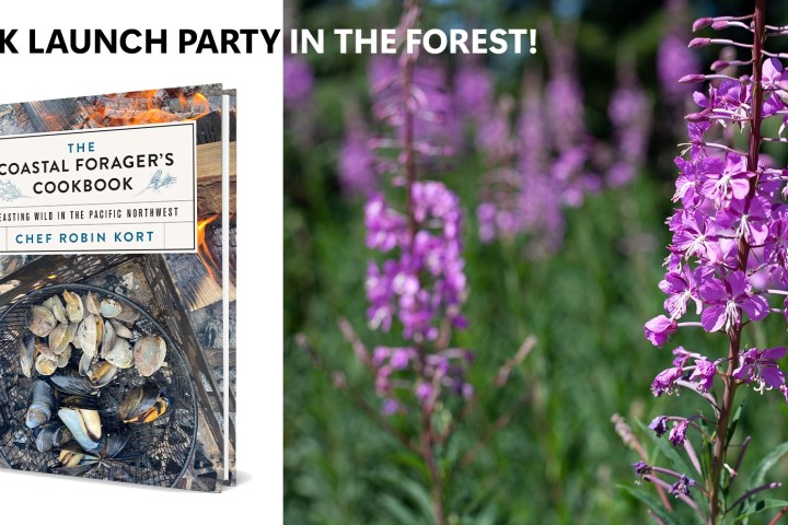 a bunch of purple flowers