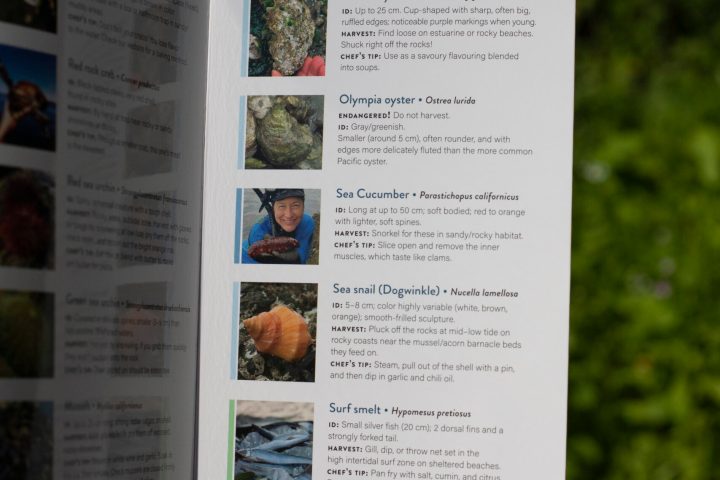 coastal forager's pocket guide by chef robin kort