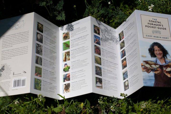 coastal forager's pocket guide by chef robin kort