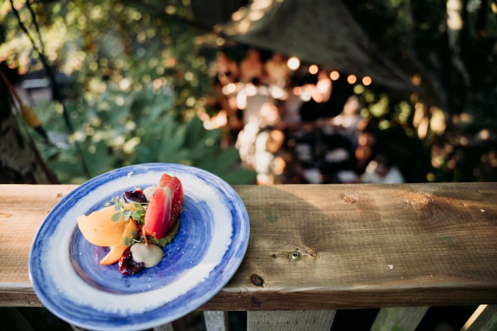 swallow tail secret supper club garden