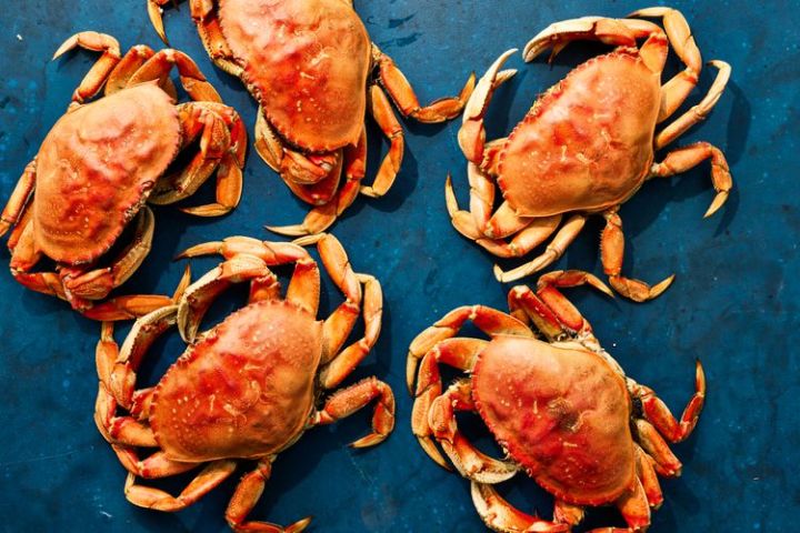 a crab on a table