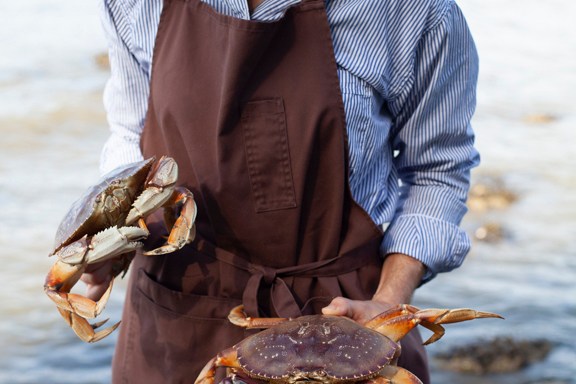 a person holding a crab in the water