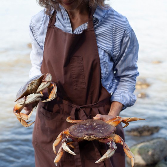 a person holding a crab in the water