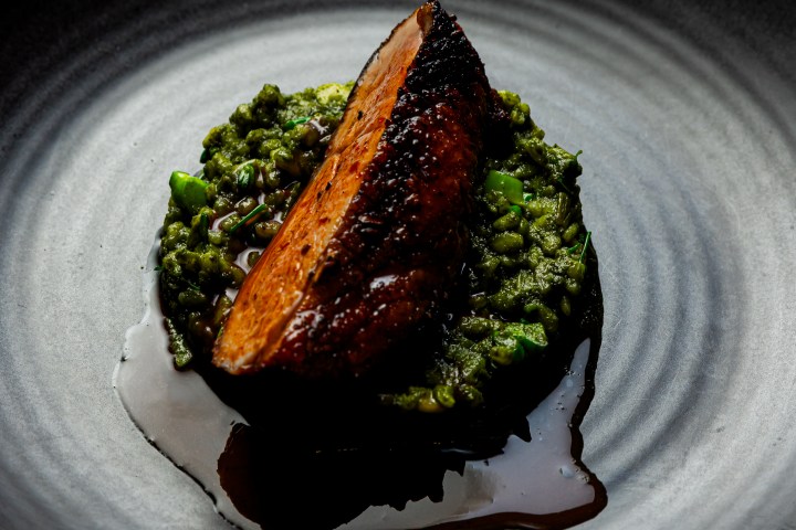 Seared meat on green risotto jefferson alvarez