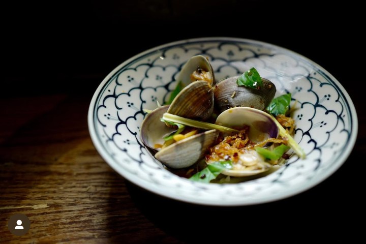 Bowl of clams with herbs on a patterned plate